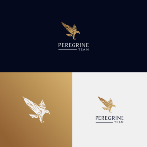 Logo Design by DsgnStory®