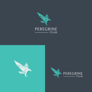 Logo Design by BrandSigma for this project | Design #26763134