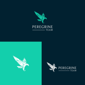 Logo Design by DsgnStory® for this project | Design: #26763159