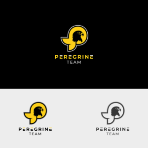 Peregrine Team | Logo Design by Grapi