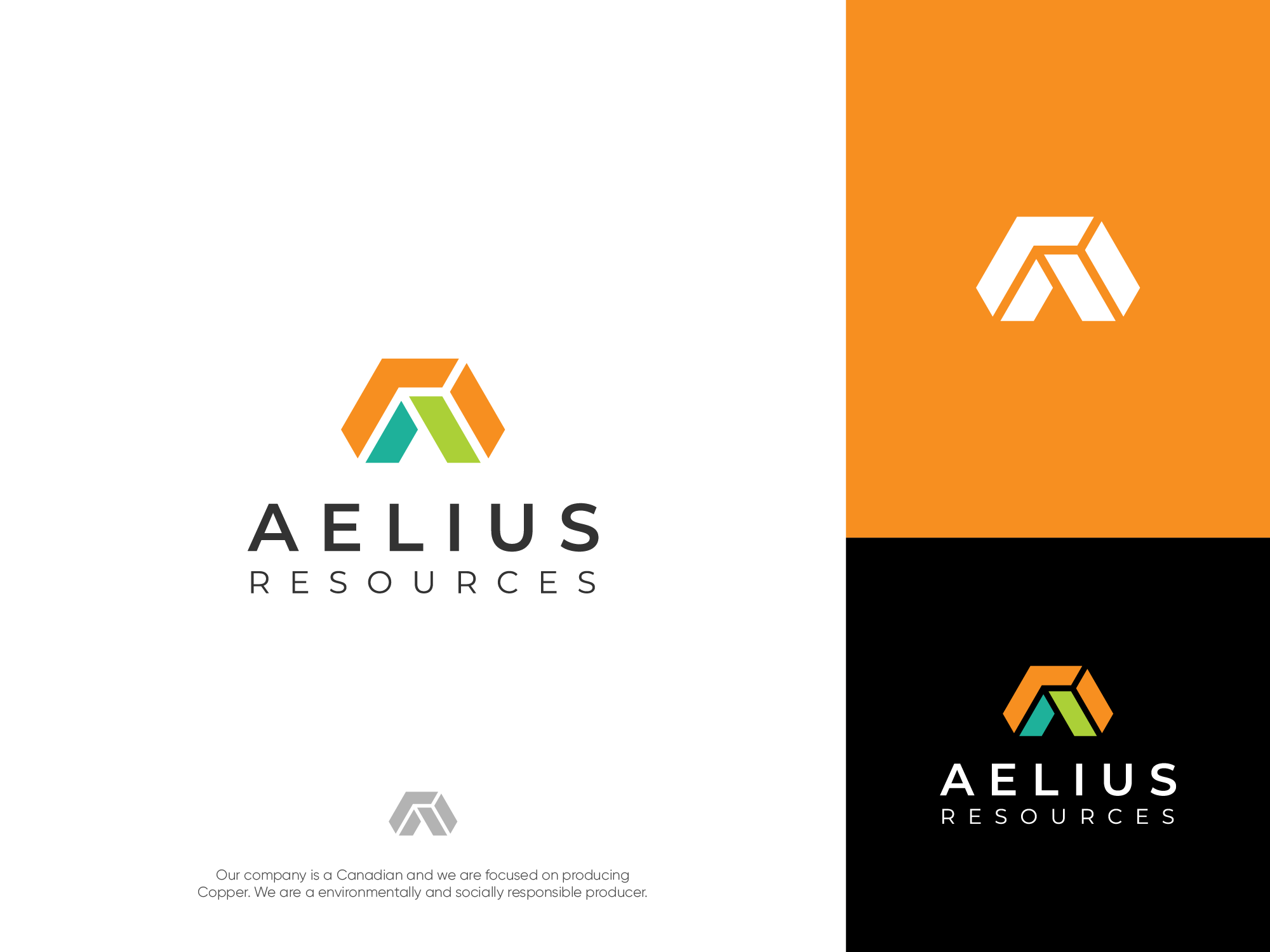 Logo Design by meolico for this project | Design #26747399