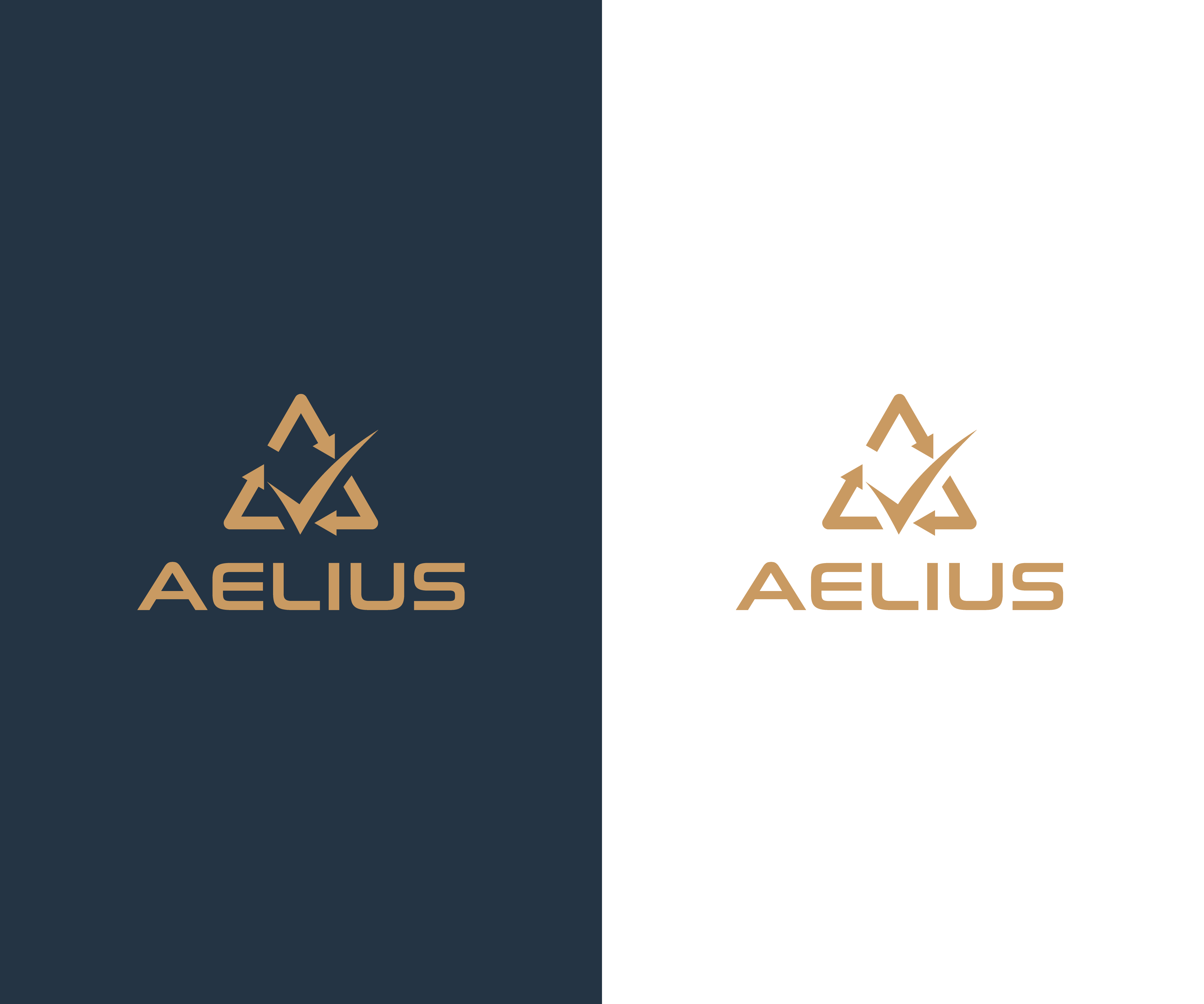 Logo Design by kimcam for this project | Design #26774903