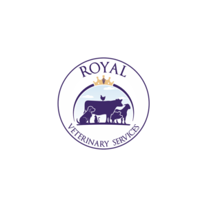 Icon Design by Lezette_G for this project | Design: #26756561