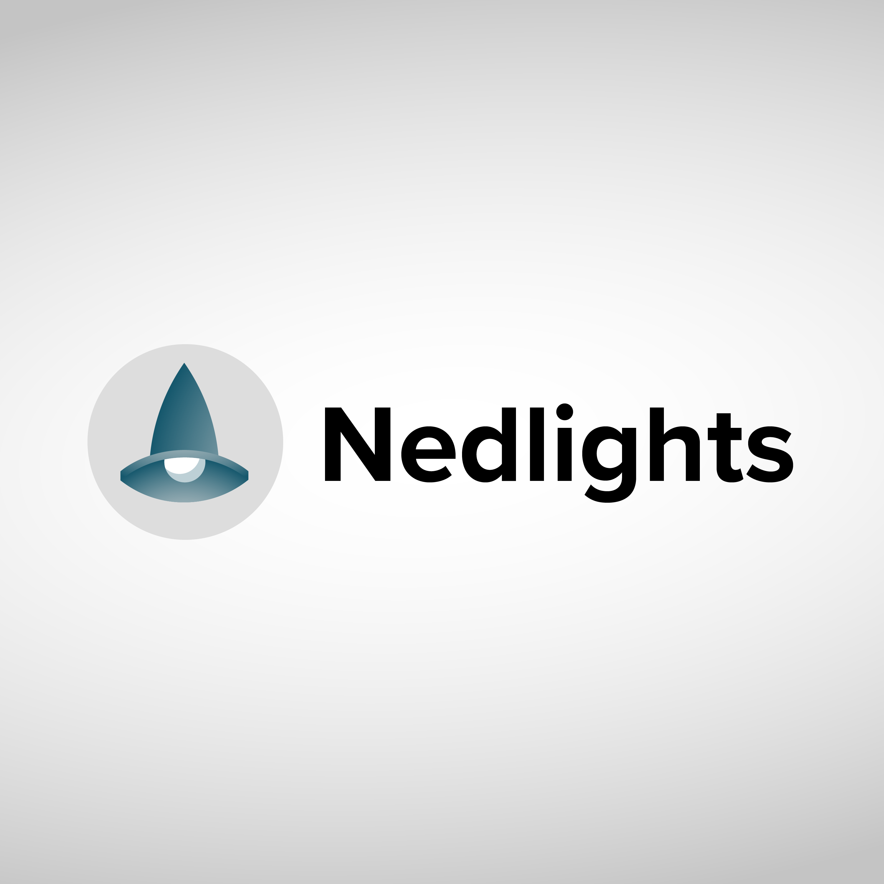 Logo-Design von Kammerfors für Nedlights b.v. | Design #26750628