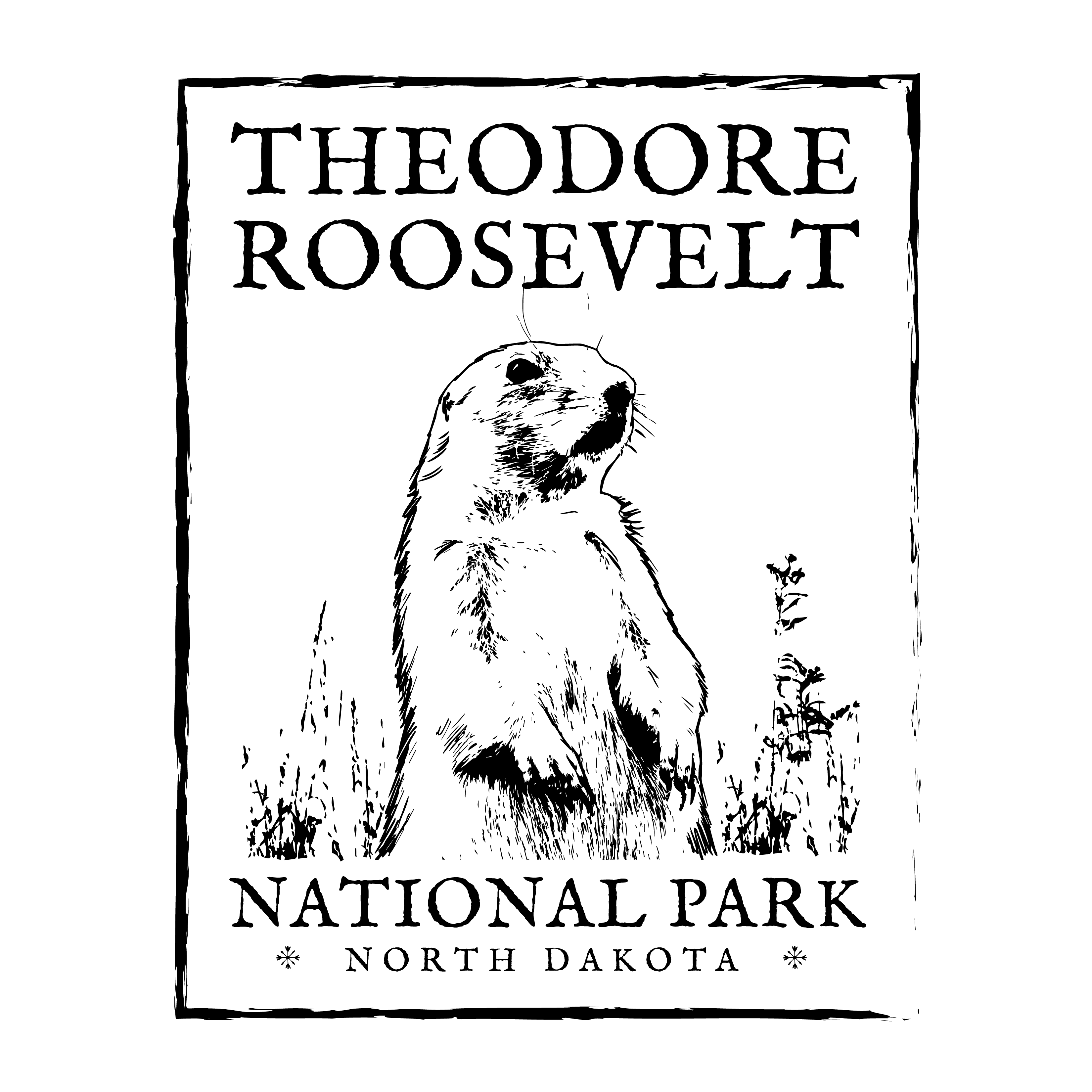 T-shirt Design by jamesmccue1 for Theodore Roosevelt Nature & History Association | Design #26802170