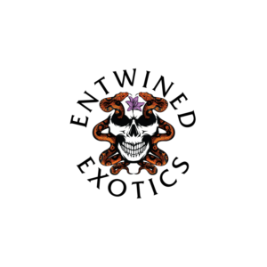 Design de Logo par prodesigns99 pour Entwined Exotics  | Design : #26761492
