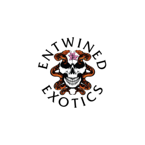 Design de Logo par prodesigns99 pour Entwined Exotics  | Design : #26761494