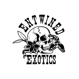 Design de Logo par geni pour Entwined Exotics  | Design : #26758446