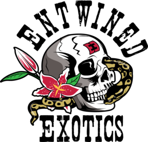 Design de Logo par geni pour Entwined Exotics  | Design : #26767416