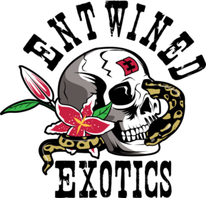 Design de Logo par geni pour Entwined Exotics  | Design : #26767417