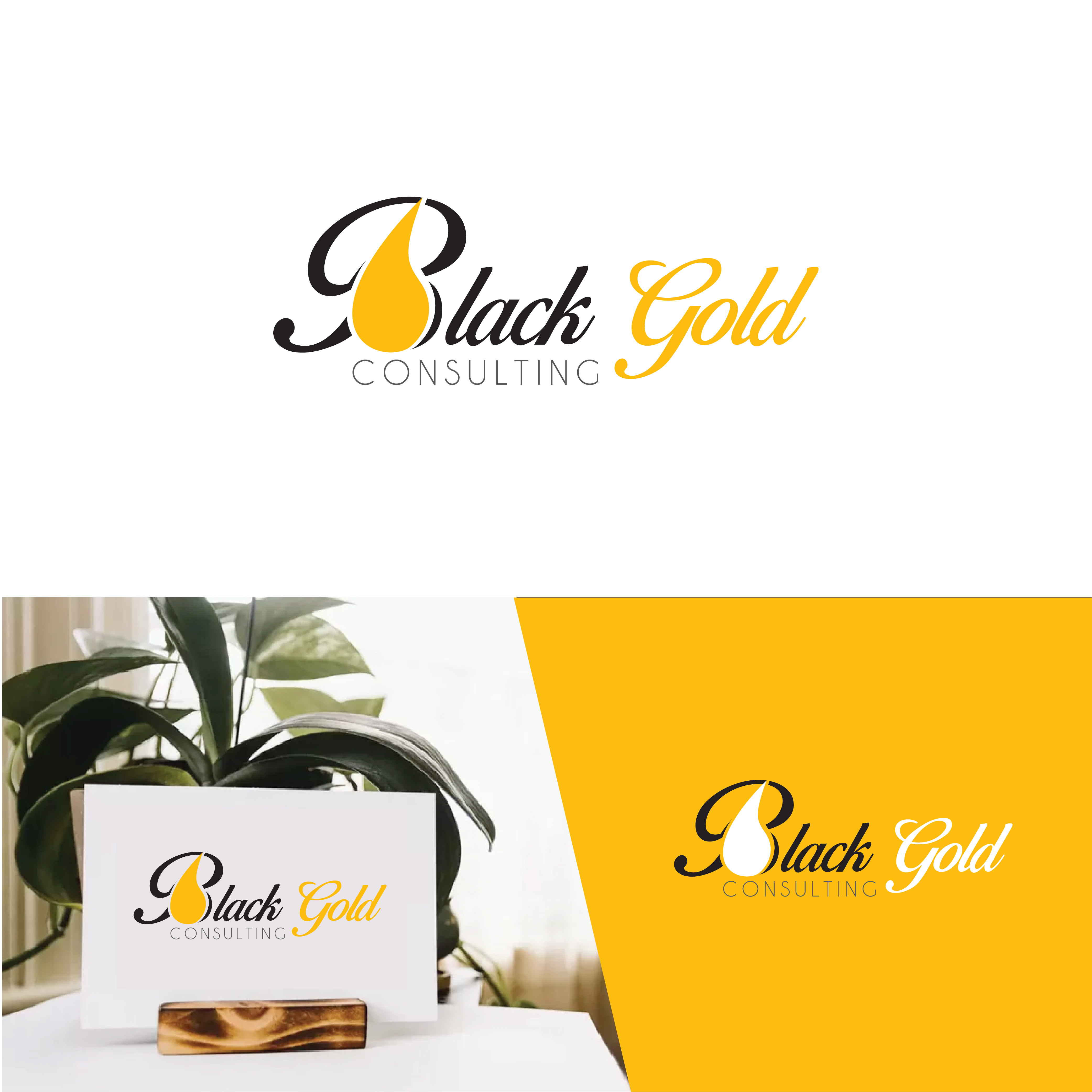 Diseño de Logo por CreativeFlows 2 para este proyecto | Diseño #26767686