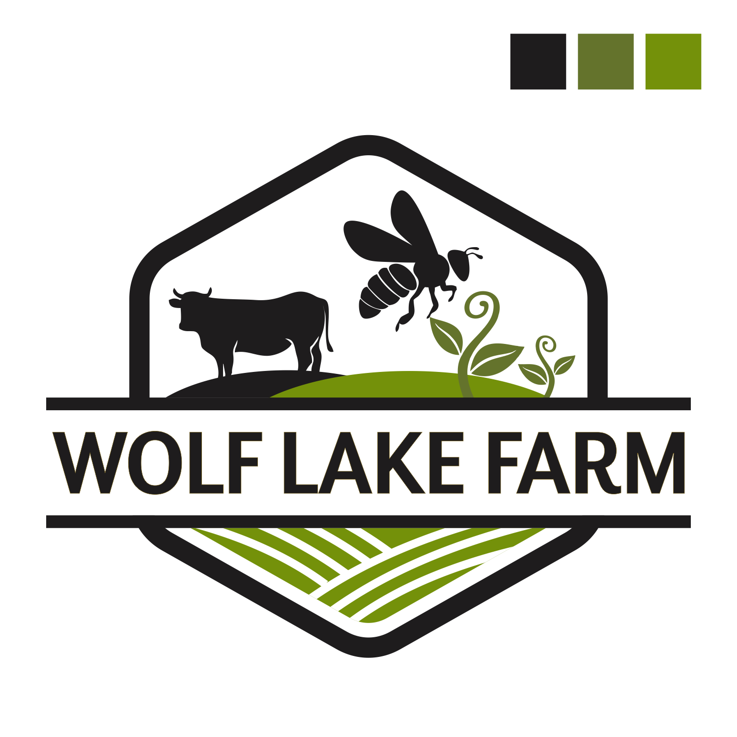 Diseño de Logo por Asmaulhusna para Blackburn Woolfolk Dermatology, PLLC | Diseño #26763683