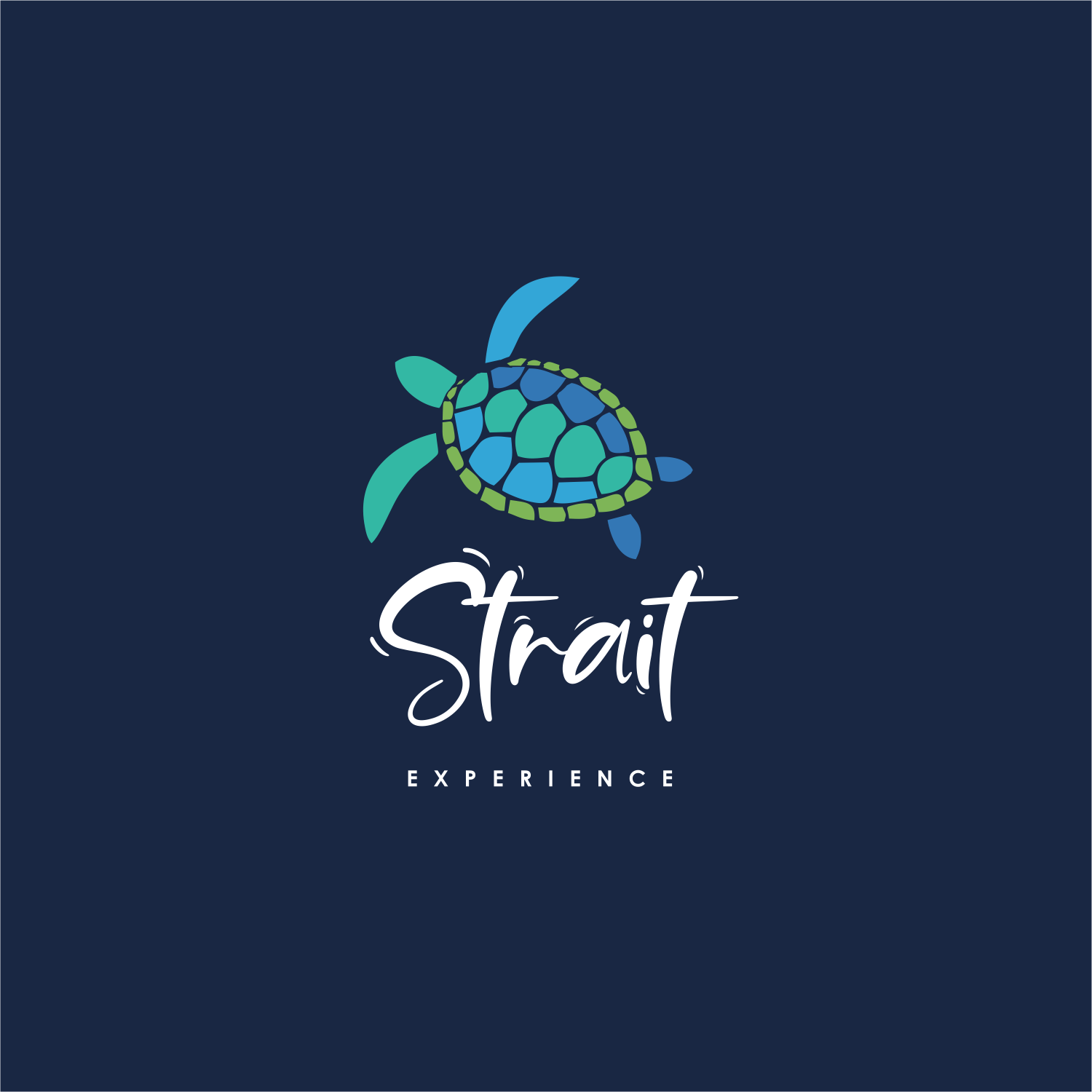 Logo Design by ThiagoB for Palmer Consultancy | Design #26782230