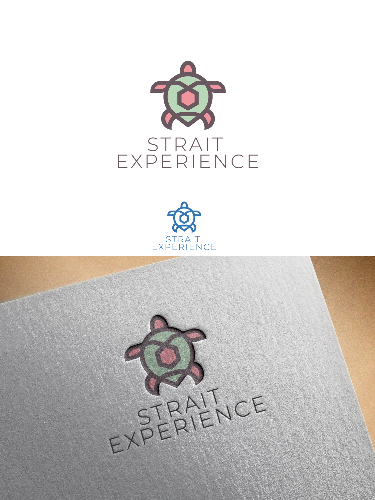 Logo Design by Arun 25 for Palmer Consultancy | Design #26781384