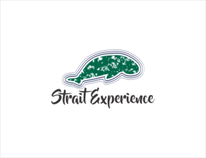 Strait Experience | Logo Design by BNdesigner