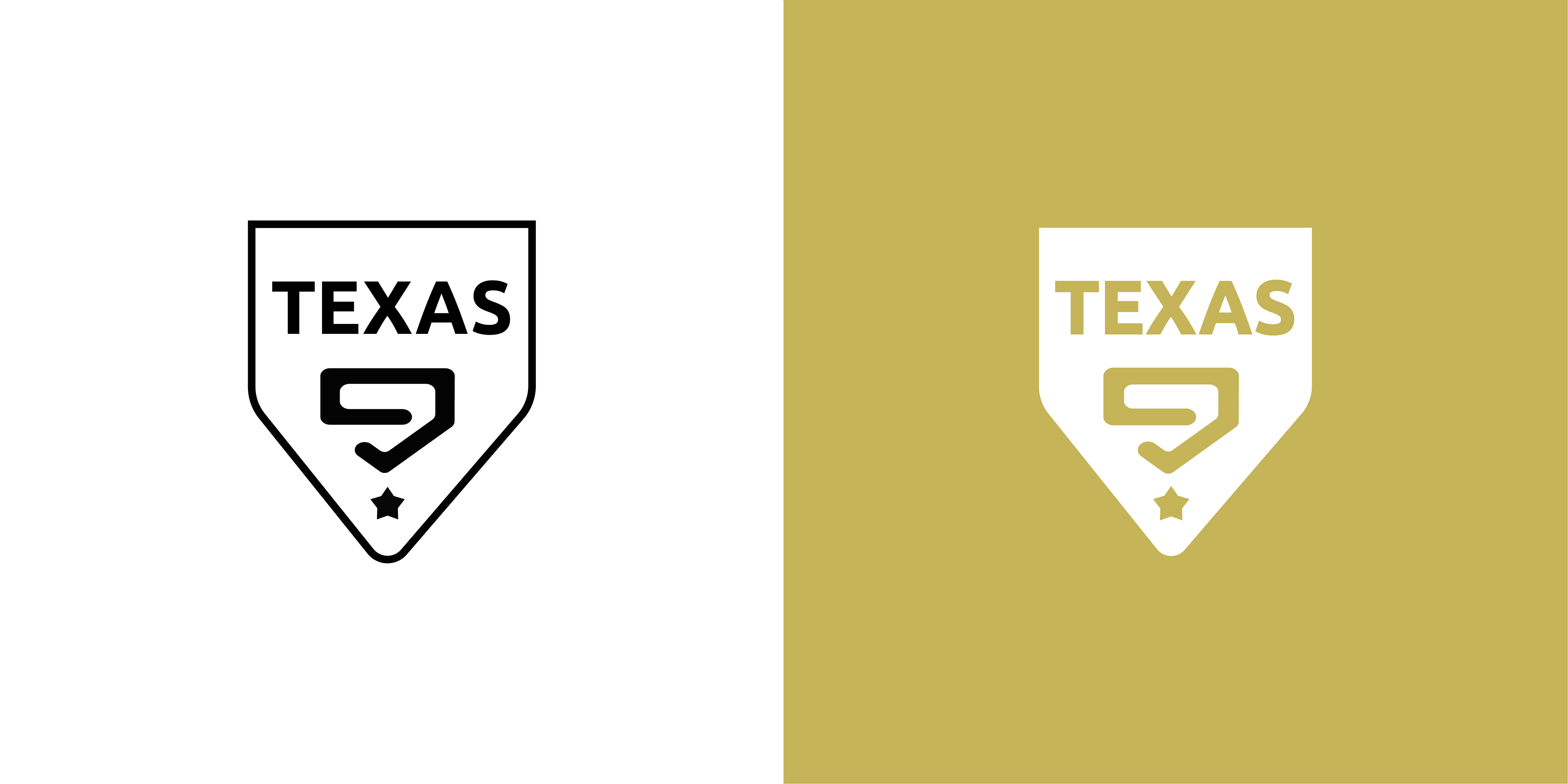 Diseño de Logo por BlackmasK para Texas Baseball Club, Inc. | Diseño #26768398