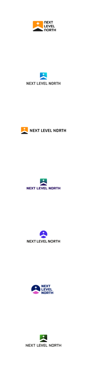 Logo Design by Lia Design for Next Level North Ltd | Design: #26783727