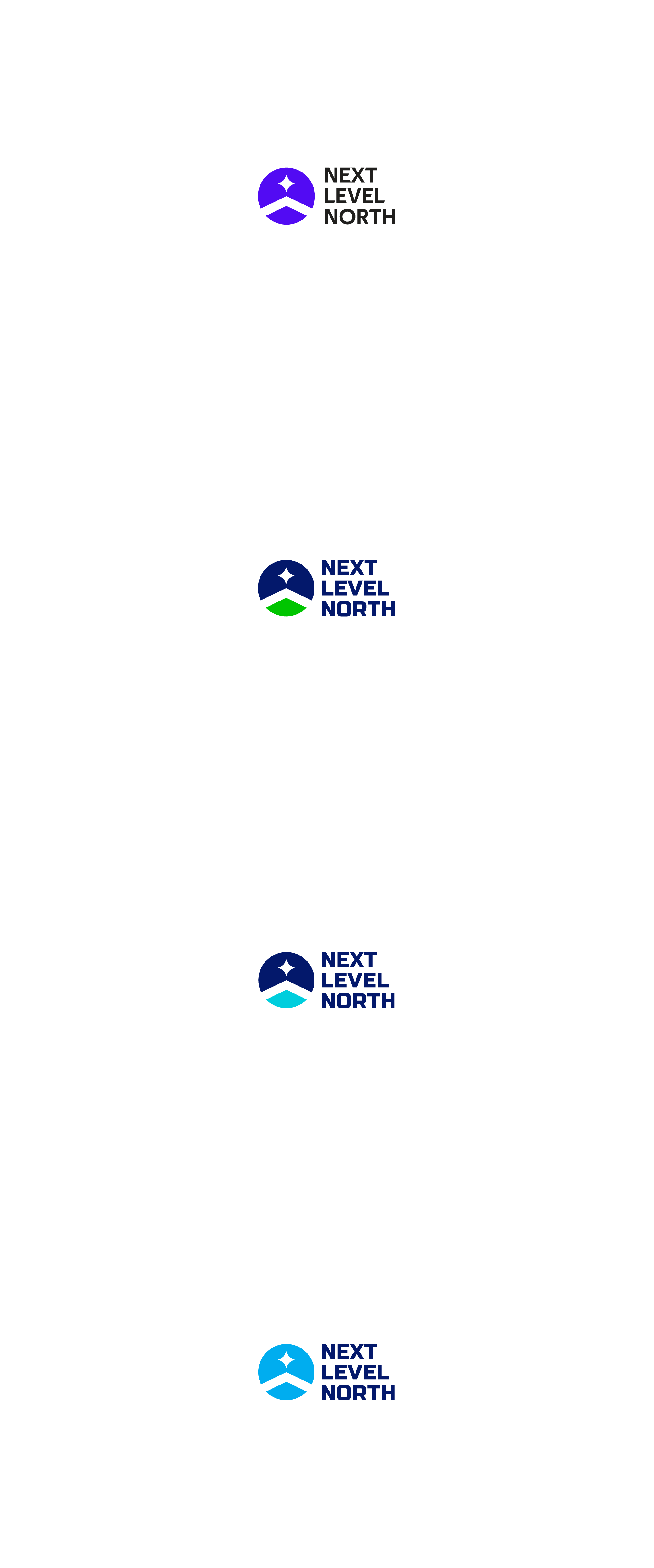 Logo Design by Lia Design for Next Level North Ltd | Design #26797097