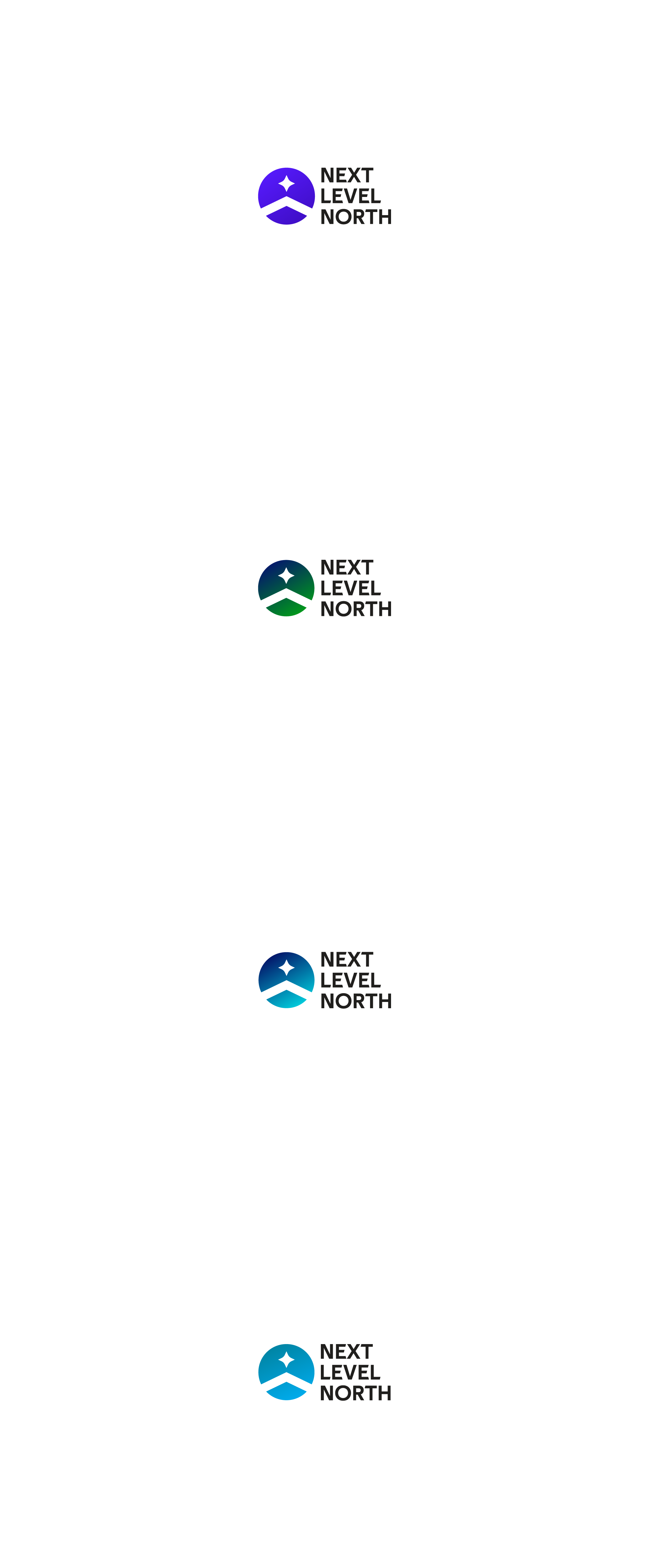 Design de Logo par Lia Design pour Next Level North Ltd | Design #26797105