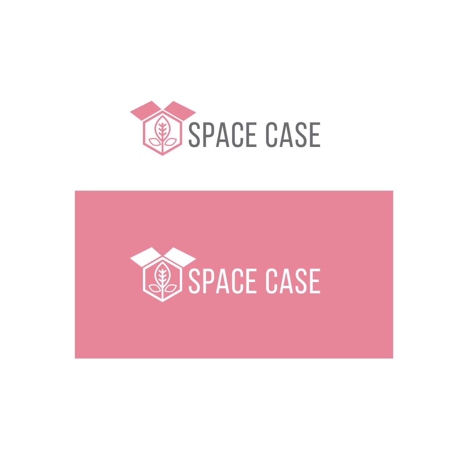 Logo Design by Finley Johnson for Space Case | Design #26807288