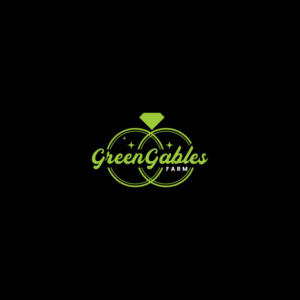 Logo Design by nzdesigners for Point. 9 Ministries, Inc. | Design #26783417