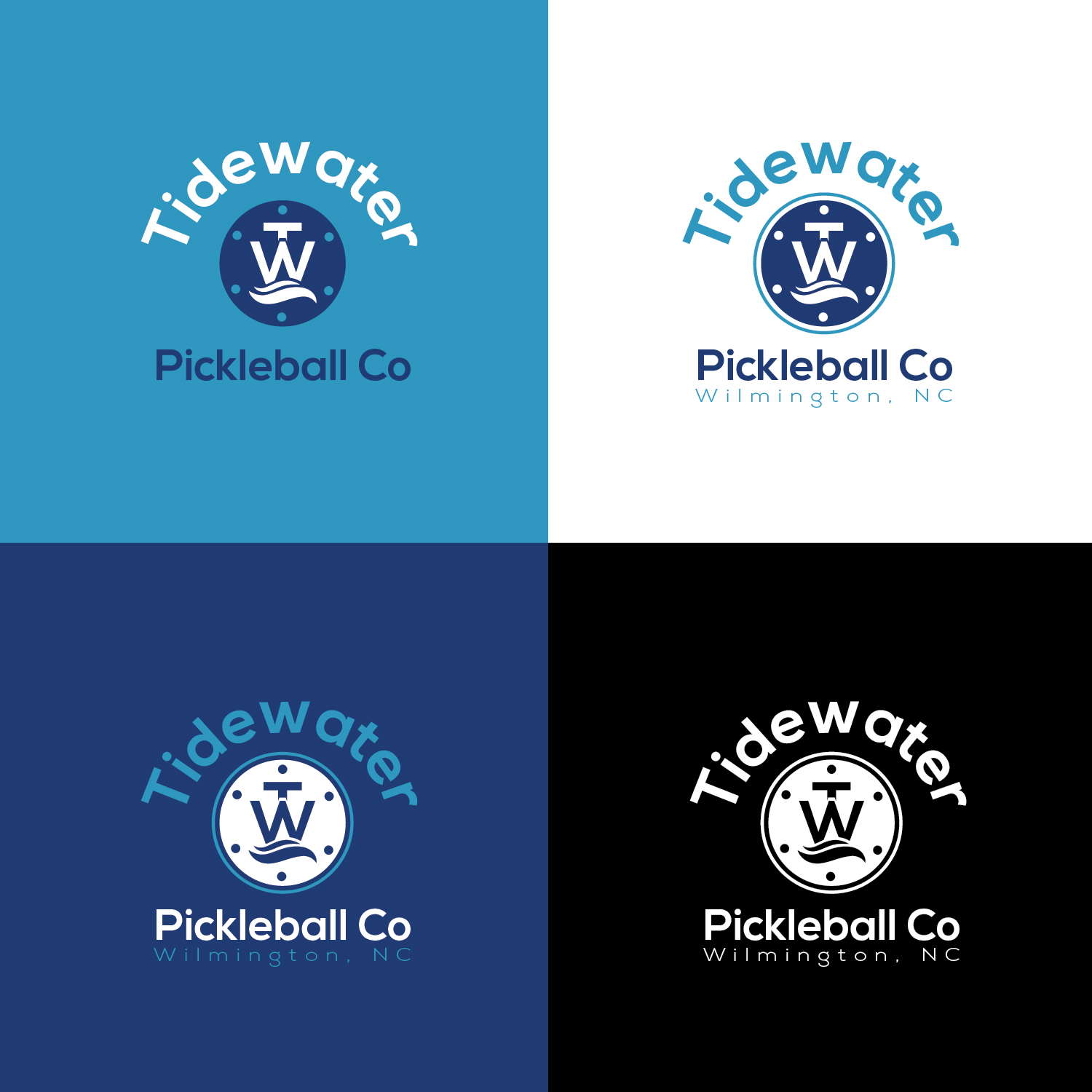 Logo Design by Maxo-Biz for Tidewater Investment Company | Design #26774398