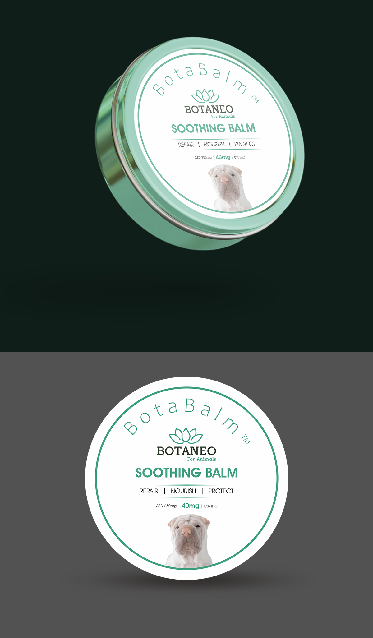 Packaging Design by ecorokerz for BOTA EUROPE KFT. | Design #26802507