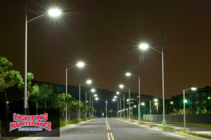 Graphic Design by  Artman for Lighting Maintenance Inc | Design: #26798276