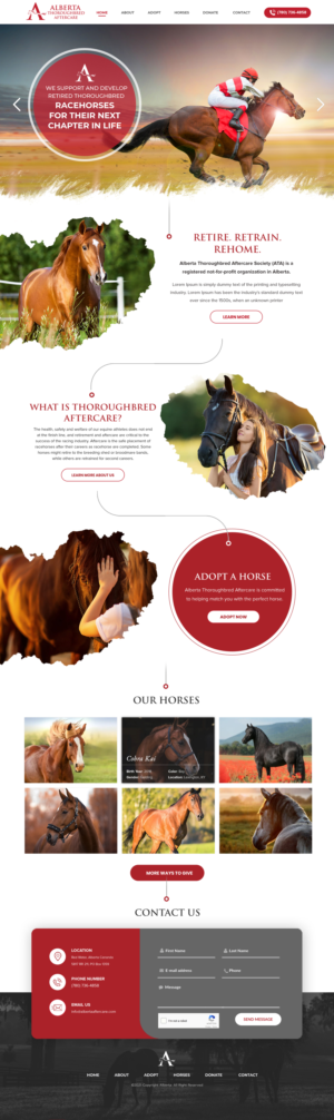 Non Profit Company Looking For New Website | Web-Design von Blue Sparrow