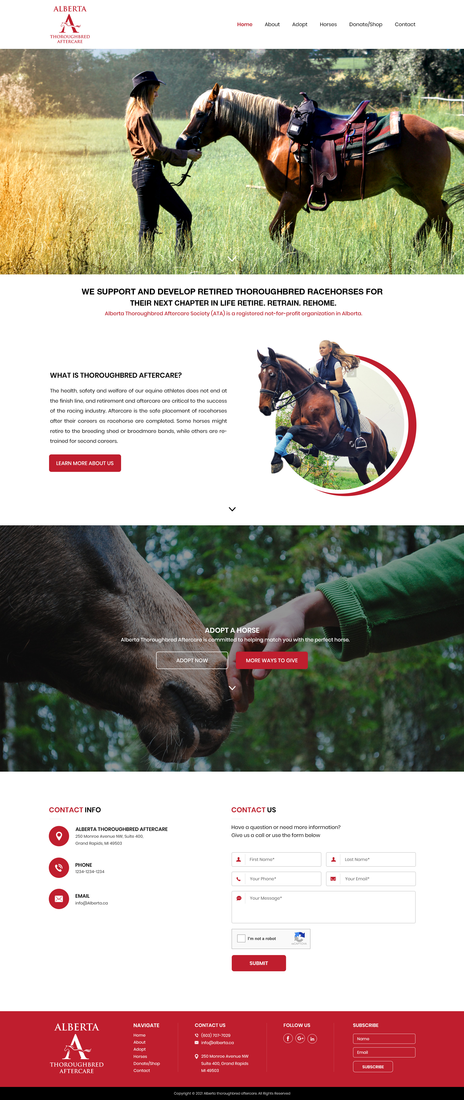 Web Design by Sandaruwan for this project | Design #26787335