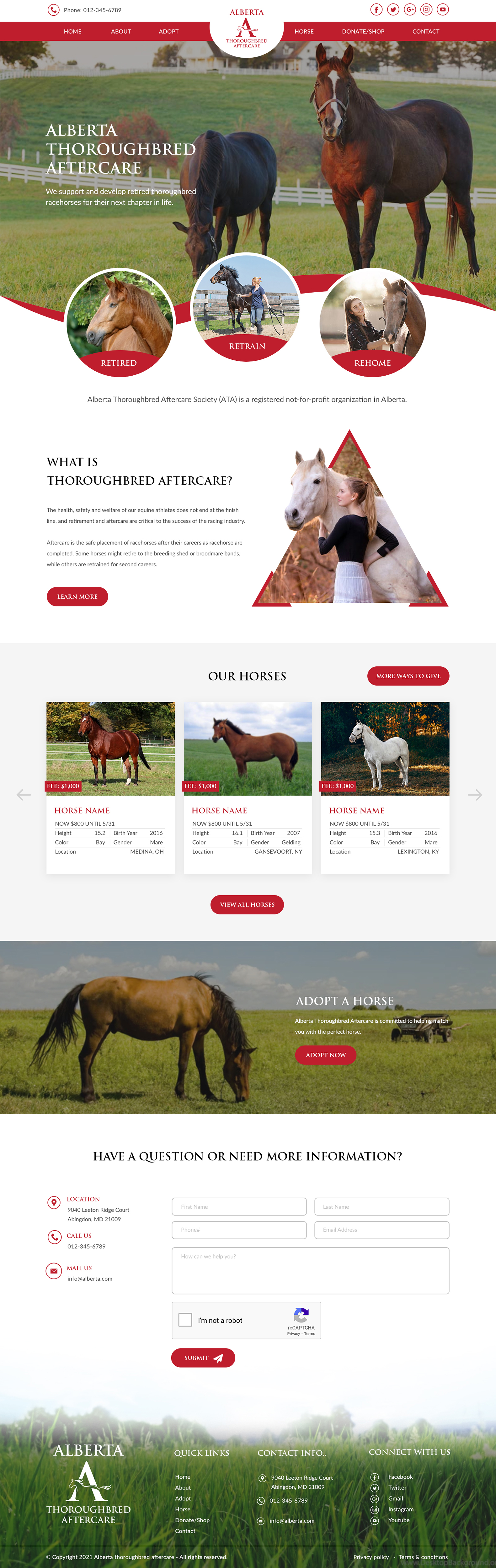 Web Design by bdesigner9 for this project | Design #26797373