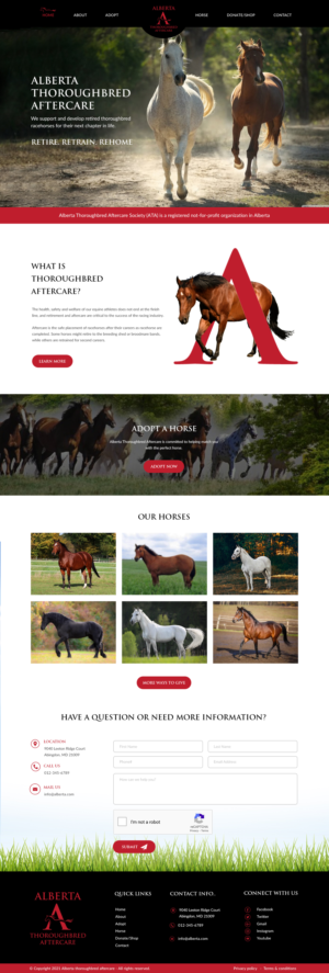 Non Profit Company Looking For New Website | Web Design par bdesigner9