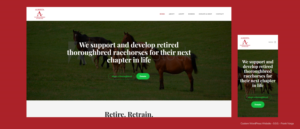 Web Design by Frank Varga