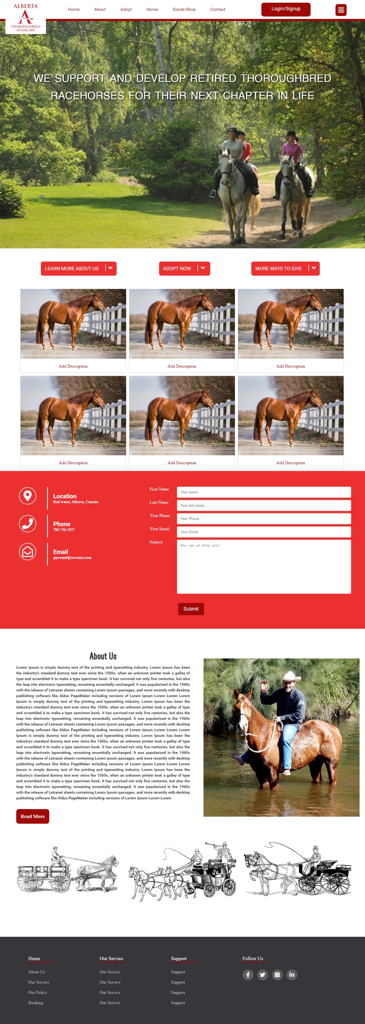 Web Design by Rupok 3 for this project | Design #26818847