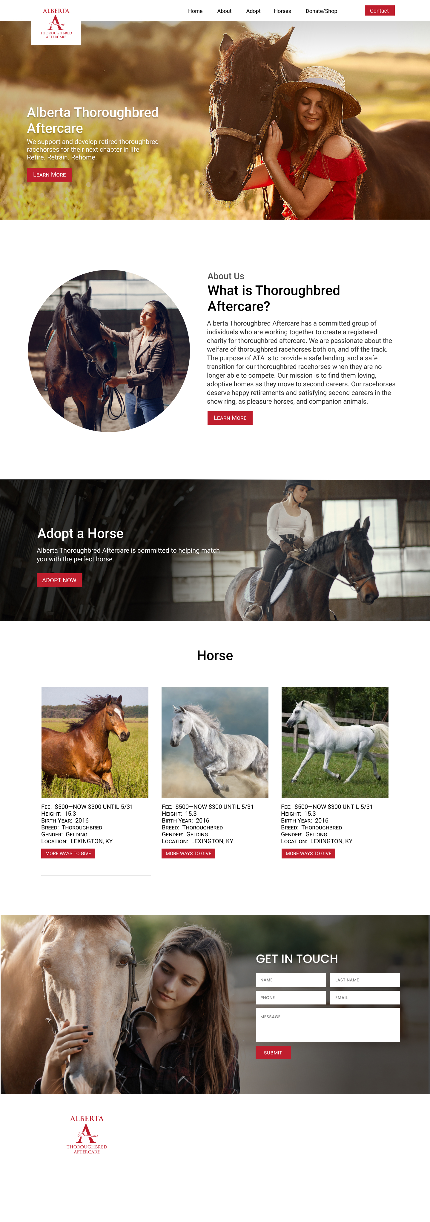 Web Design by Adeel Rahman for this project | Design #26800578