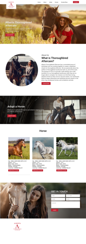 Web Design by Adeel Rahman