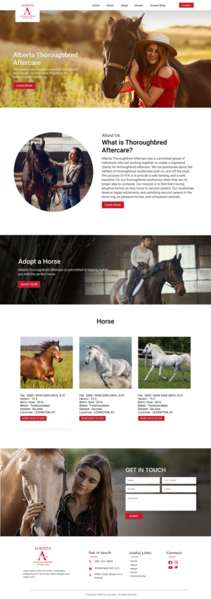 Web Design par Adeel Rahman pour ce projet | Design #26801067