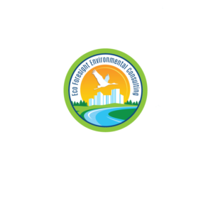 Logo Design by instudio for Solar Foresight | Design: #26793626