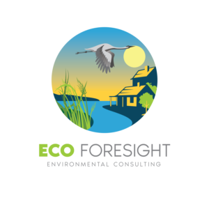 Logo Design by Don Carlo