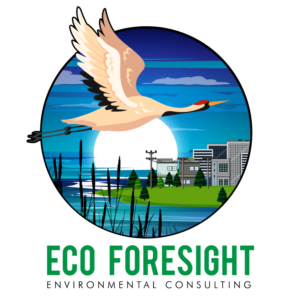 Design de Logo par Anushka 5 pour Solar Foresight | Design #26797488