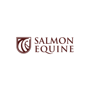 Salmon Equine | Diseño de Logo por ERLANDO RONTE RDJ