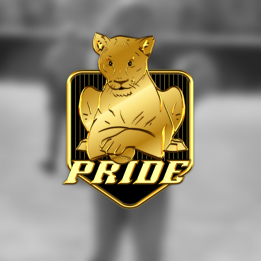 Logo Design by Anushka 5 for this project | Design #26810050