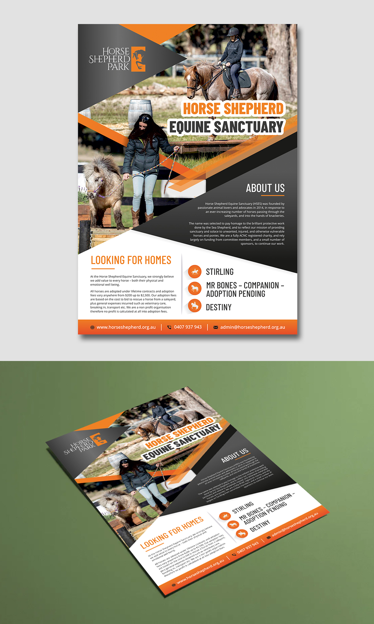 Flyer Design by ecorokerz for this project | Design #26799600