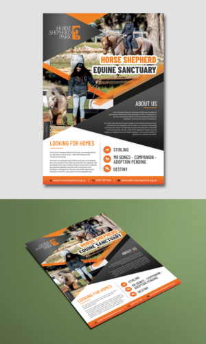 Design de Flyer par ecorokerz pour ce projet | Design : #26799600