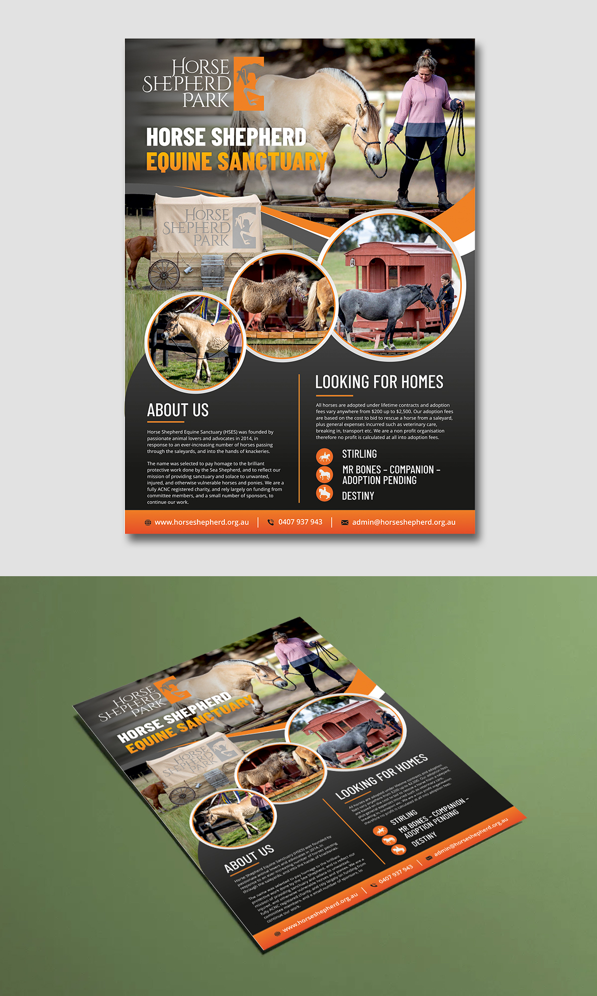 Flyer Design by ecorokerz for this project | Design #26799601
