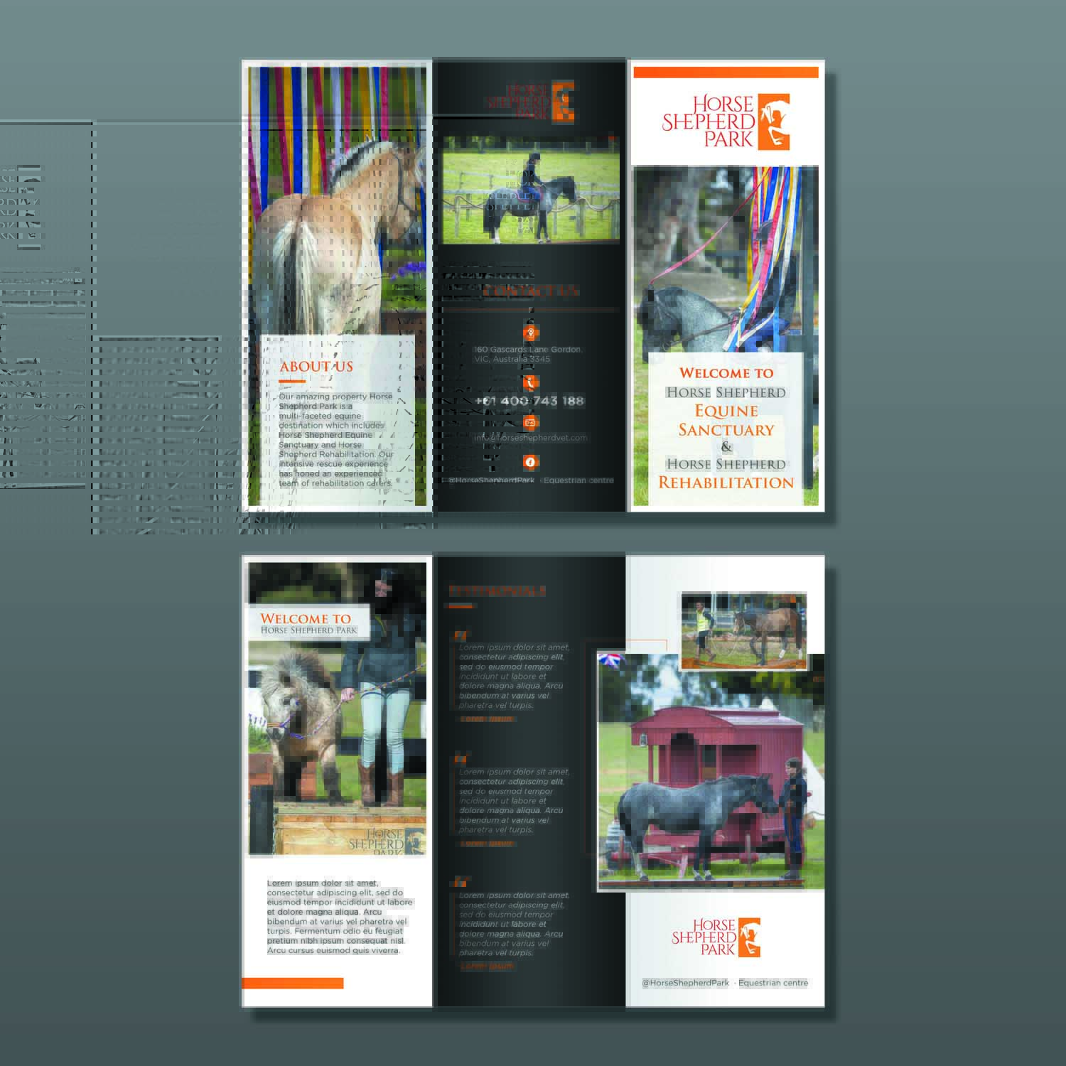 Design de Flyer par Schöpfer pour ce projet | Design #26805799