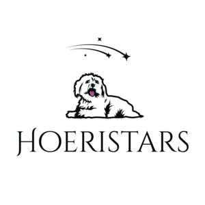 Hoeristars or Höri Stars or HS (Stars that fell from the sky) | Logo Design by MT