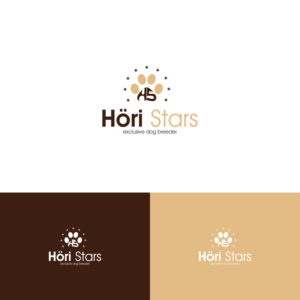 Hoeristars or Höri Stars or HS (Stars that fell from the sky) | Logo Design by emaviolar7
