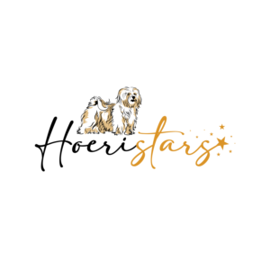Logo-Design von geni