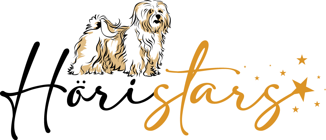 Diseño de Logo por geni para este proyecto | Diseño #26845059